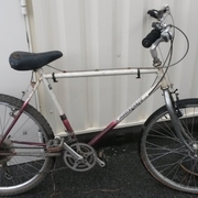1988.jpg
