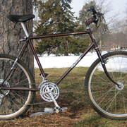 1982.jpg