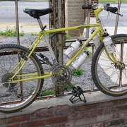 1983.jpg