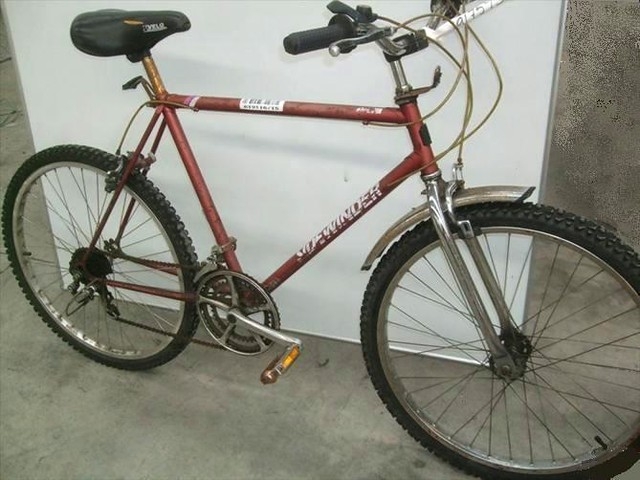 1984.jpg