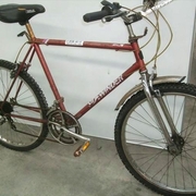 1984.jpg