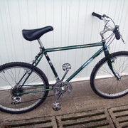 1986.jpg