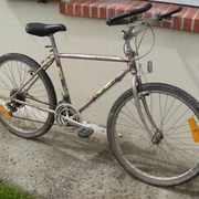 1987.jpg