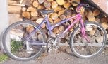1990.jpg