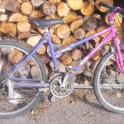 1990.jpg