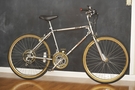 http://mombatbicycles.com/MOMBAT/Bikes/1981_Murray_Baja.html

...