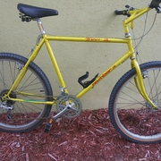 1985.jpg