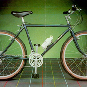 1983.jpg