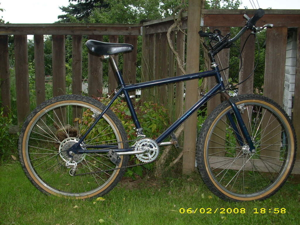 1984 Raven 
