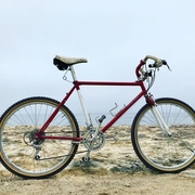 1985.jpg