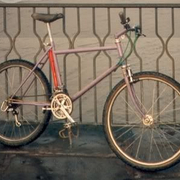 1986.jpg