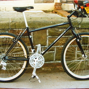 1991.jpg