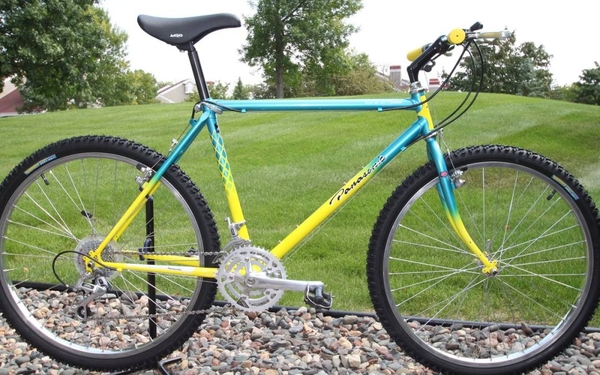 1989 PICS Team MC 800 Custom 