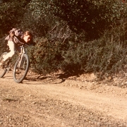 george_newmann_1976.jpg