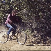 ian_stewart_77.jpg