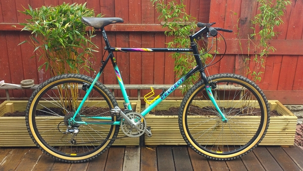 1991 Black Mamba
