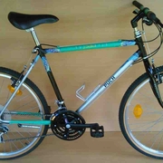 1992.jpg