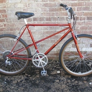 1982.jpg