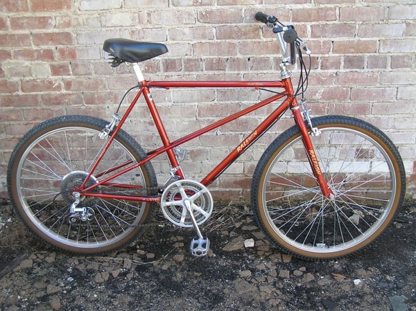1982 Trail Rider