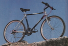 1988.jpg