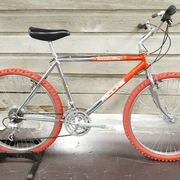 1985.jpg