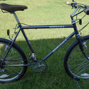1984.jpg