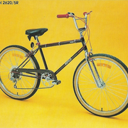 1982.jpg