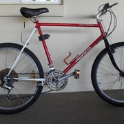 1987.jpg