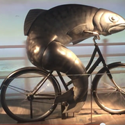 fish.png
