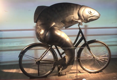What is a fish without a bicycle?