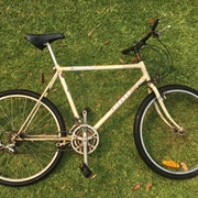 1990.jpg