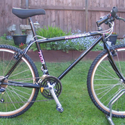 1991.jpg