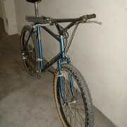 1978d.jpg