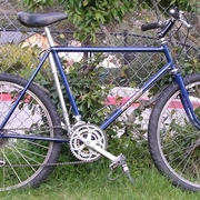 1979.jpg