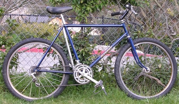 1979 