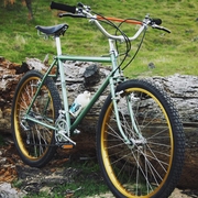 1979ritchey.jpg