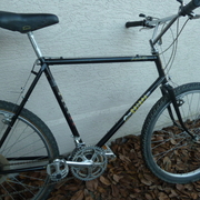 1983.jpg