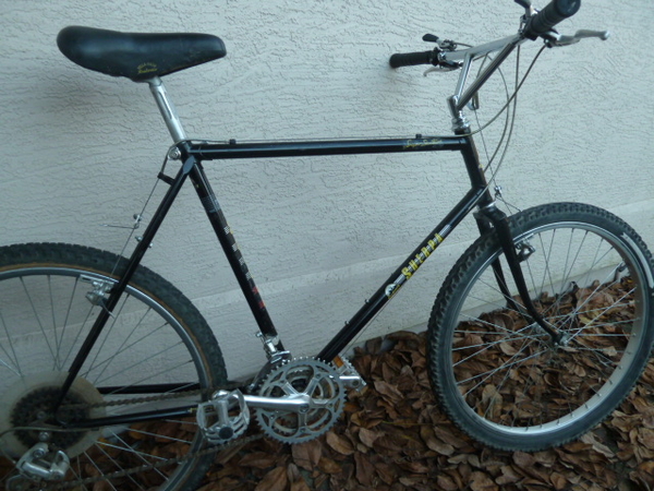 1983 Scooter 1983 Scooter