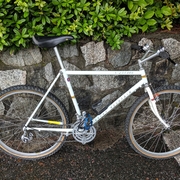 1985.jpg