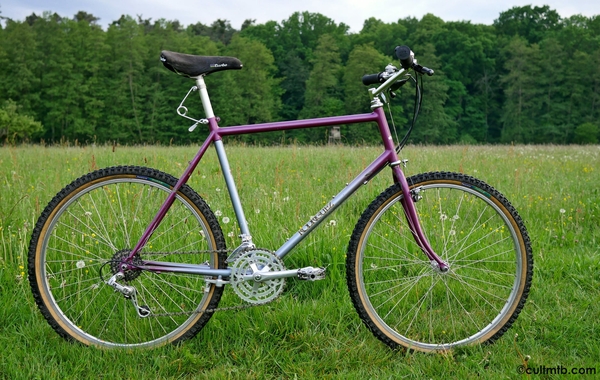 1986 Rodriguez 