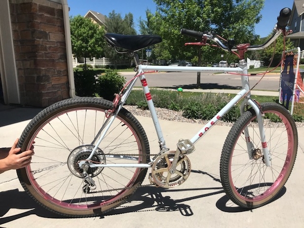 1982 Diamond Cruiser
