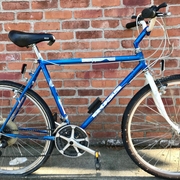 1989.jpg