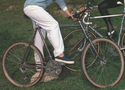1983b.jpg