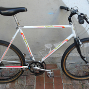 1986.jpg