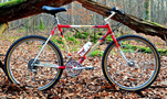 1987b.jpg
