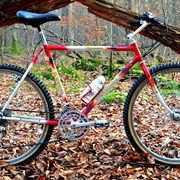 1987b.jpg
