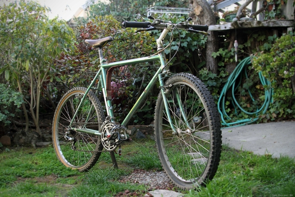 1982 Salsa #1