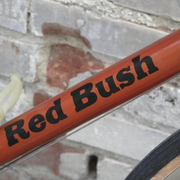 redbush.jpg