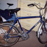 1986.jpg