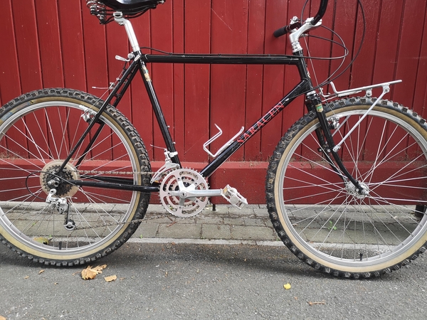 1984 Saracen 